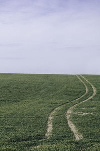 Scenic view of grassy field against blue sky