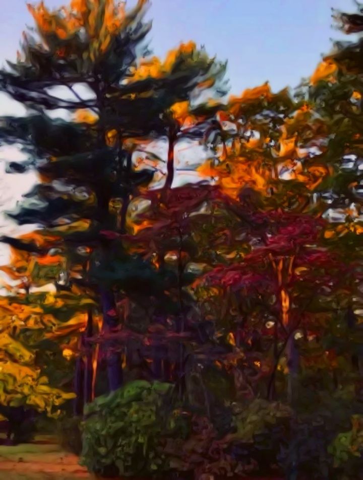 plant, no people, growth, tree, nature, beauty in nature, outdoors, day, close-up, leaf, tranquility, autumn, plant part, change, sky, focus on foreground, orange color, green color, branch, selective focus