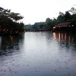 Reflection of trees in lake