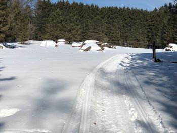 Snow covered field by trees