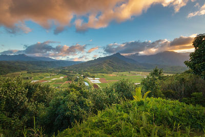 Scenic view of landscape against sky