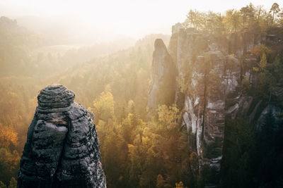 Aerial view of rock mountains in forest