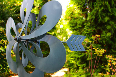 Low angle view of plants in yard