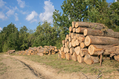 Stack of logs on field against trees