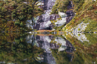 Reflection of trees and rocks in lake