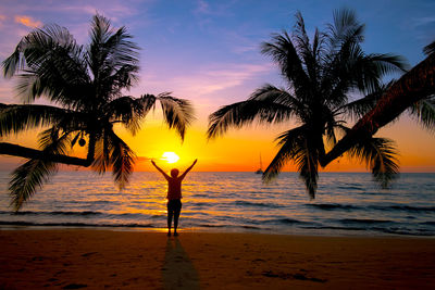 Silhouette palm trees on beach against sky during sunset