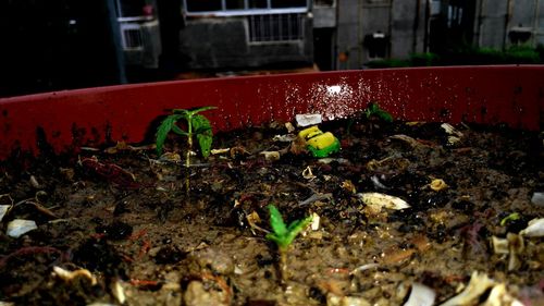 Surface level of water