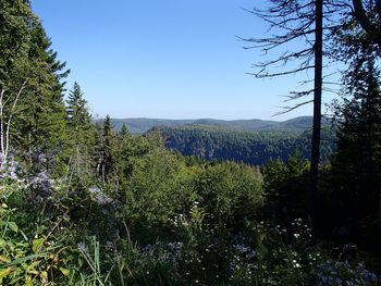 Scenic view of mountains against clear sky