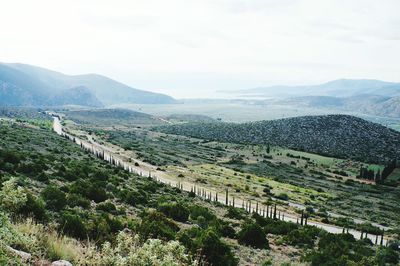 Scenic view of agricultural landscape against sky