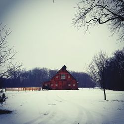 Snow covered landscape