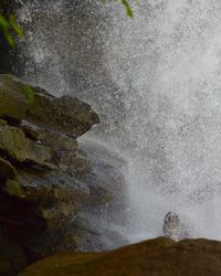 Scenic view of waterfall