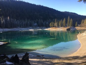 Scenic view of lake by trees against sky