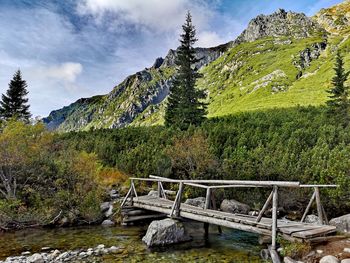 Scenic view of plants and mountains against sky