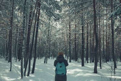 Rear view of person standing on snow covered land