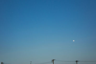 Low angle view of trees against clear blue sky