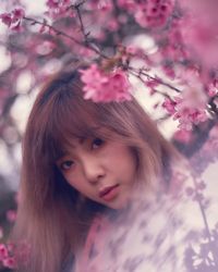 Close-up of woman with pink flower tree