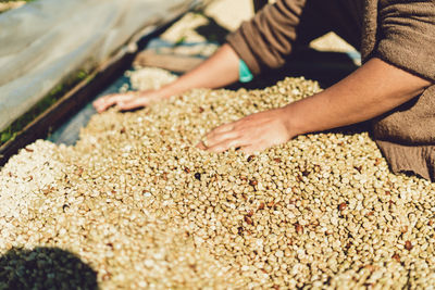 Midsection of person holding peanuts