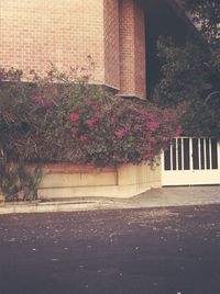 View of flowers against built structure