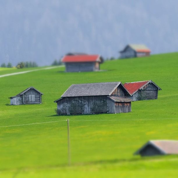 grass, building exterior, built structure, architecture, green color, grassy, field, house, landscape, lawn, grassland, sky, nature, day, meadow, green, outdoors, rural scene, tranquility, beauty in nature