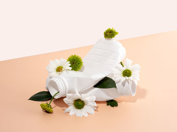 Close-up of flowers on white background