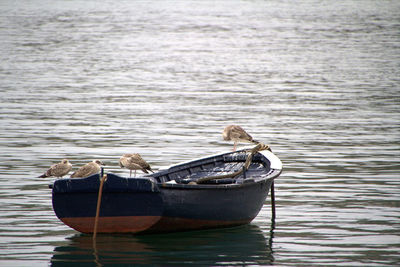 Boats in a lake