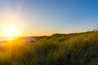 Scenic view of field against sky during sunset