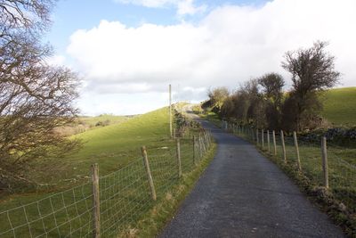 Road amidst plants and trees against sky