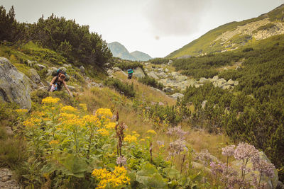 Backpackers on mountain against sky