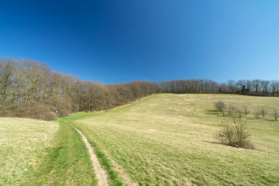 Scenic view of land against clear blue sky