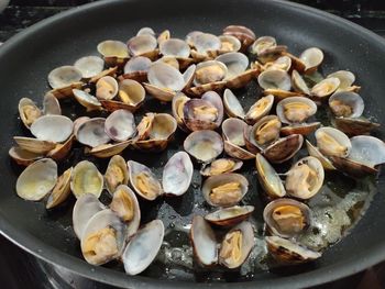 High angle view of shells in container