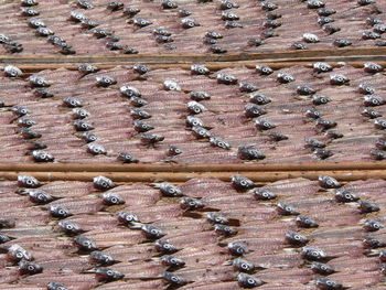 Full frame shot of textured wall