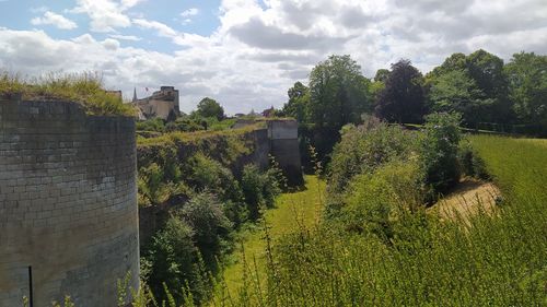 Trees and plants growing on land against sky