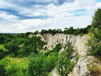 Plants growing on rock against sky