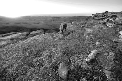 Rock formations on landscape against sky