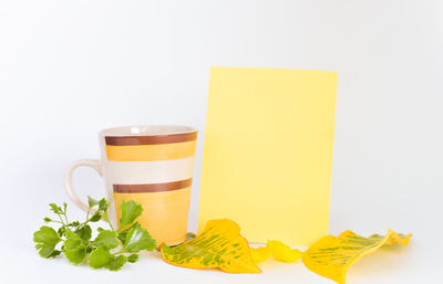 Close-up of drink against white background