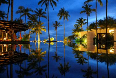 Palm trees by swimming pool against sky at night