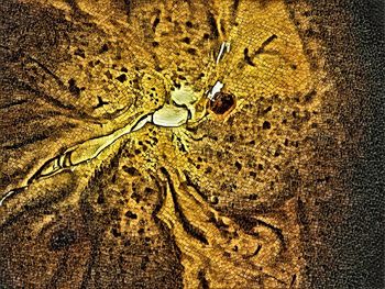 Full frame shot of sand