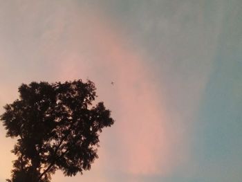 Low angle view of silhouette tree against sky at sunset