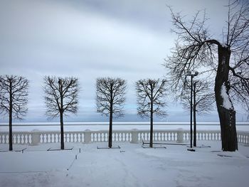 Bare trees on field during winter against sky