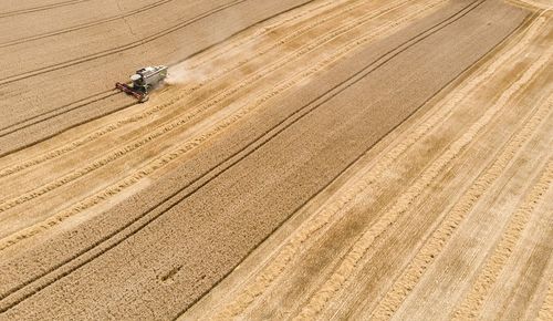 High angle view of combine harvester on field