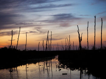 Silhouette plants by lake against sky during sunset