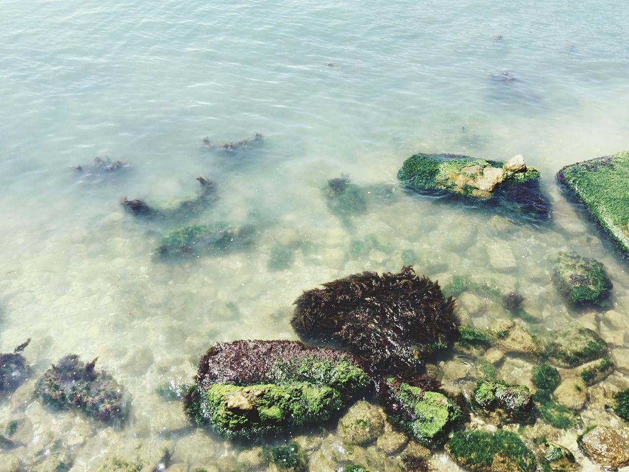 water, sea, high angle view, nature, rock - object, beauty in nature, beach, surf, rippled, splashing, wave, sunlight, day, tranquility, outdoors, motion, shore, no people, scenics, waterfront