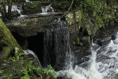 Scenic view of waterfall in forest