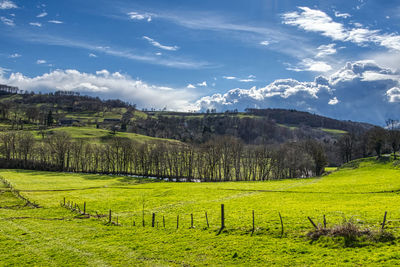 Scenic view of field against sky