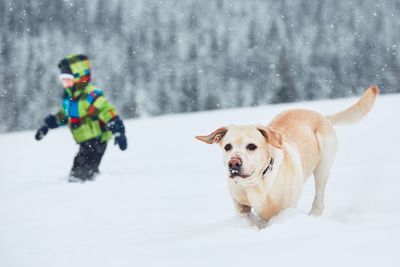Dog by child on snow covered field