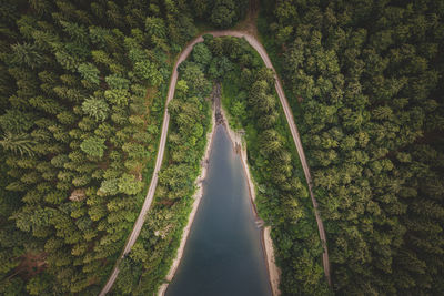 Aerial view of road amidst trees in forest