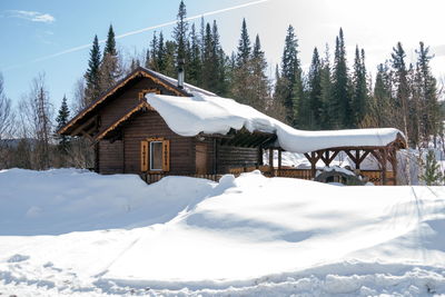 A wooden house stands among white snowdrifts against a background of spruce forest.