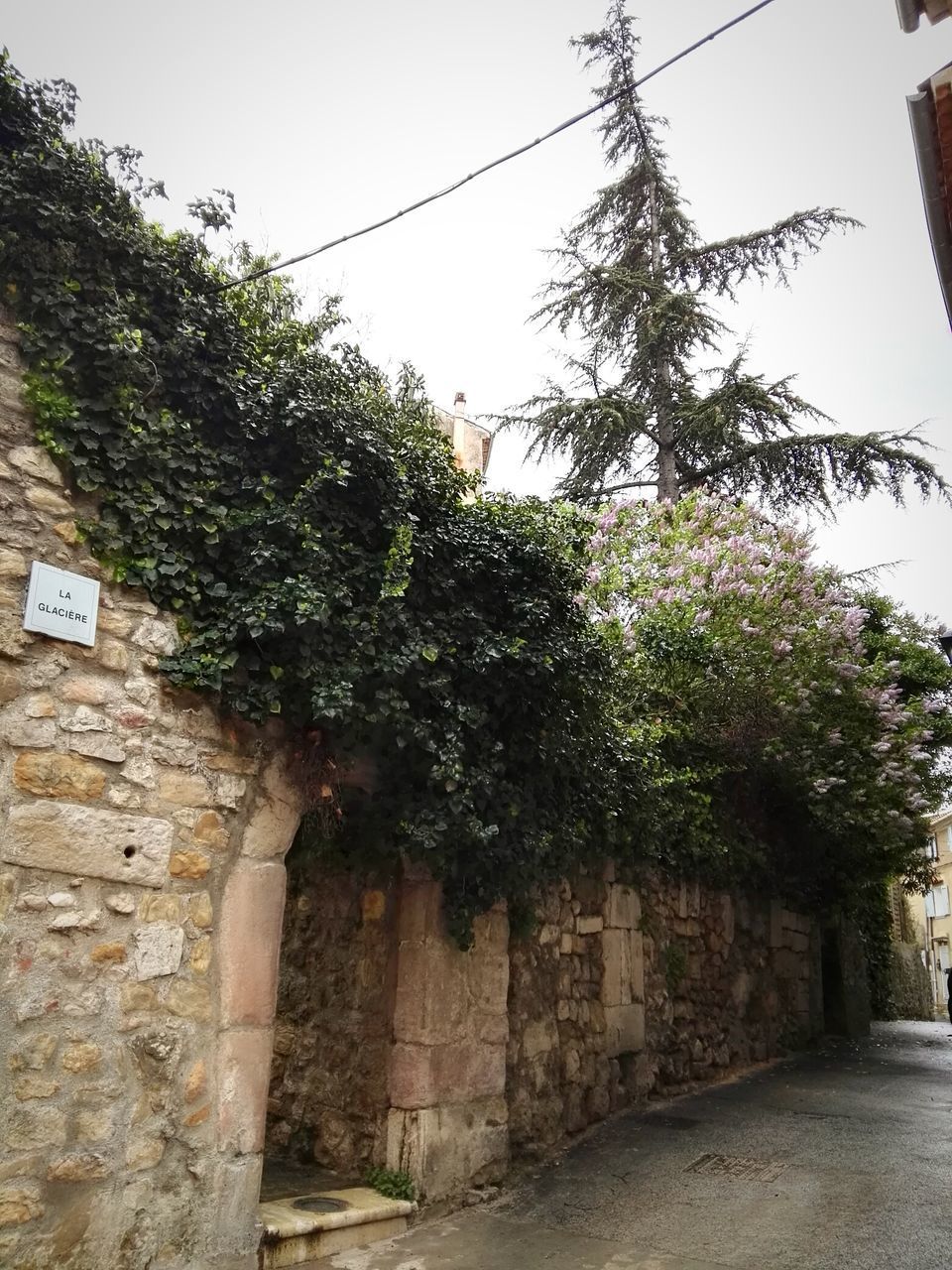 LOW ANGLE VIEW OF BUILT STRUCTURE AGAINST TREES