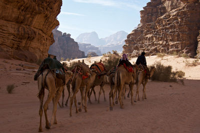 Horses on sand against sky