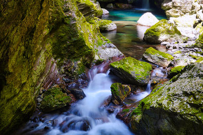 Stream flowing through rocks in forest